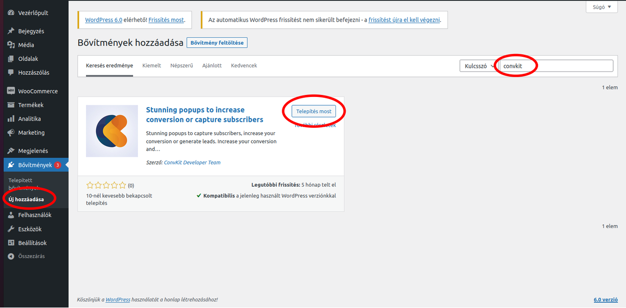wordpress1 wordpress1