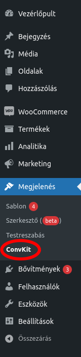 wordpress2 wordpress2